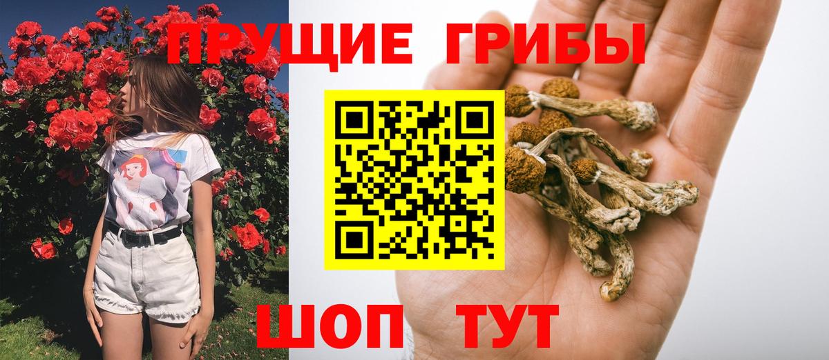 Псилоцибиновые грибы мицелий Протвино